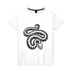 Женская футболка хлопок с принтом Силуэт змеи в Тюмени, 100% хлопок | прямой крой, круглый вырез горловины, длина до линии бедер, слегка спущенное плечо | животные | змеиная кожа | змея | прикольные картинки | силуэт змеи