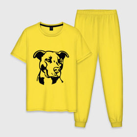 Мужская пижама хлопок с принтом Питбуль (Pitbull) в Тюмени, 100% хлопок | брюки и футболка прямого кроя, без карманов, на брюках мягкая резинка на поясе и по низу штанин
 | Тематика изображения на принте: друг человека | животные | пес | питбуль (pitbull) | прикольные картинки | силуэт пса | собака