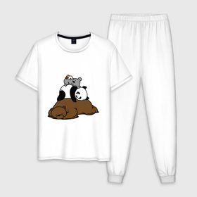 Мужская пижама хлопок с принтом comfort bed - комфортный медведь в Тюмени, 100% хлопок | брюки и футболка прямого кроя, без карманов, на брюках мягкая резинка на поясе и по низу штанин
 | панда