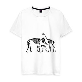Мужская футболка хлопок с принтом Зоорентген в Тюмени, 100% хлопок | прямой крой, круглый вырез горловины, длина до линии бедер, слегка спущенное плечо. | животные | зоорентген | кости | прикольные картинки | рентген