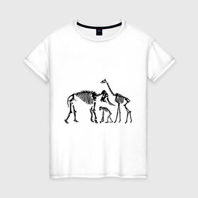 Женская футболка хлопок с принтом Зоорентген в Тюмени, 100% хлопок | прямой крой, круглый вырез горловины, длина до линии бедер, слегка спущенное плечо | животные | зоорентген | кости | прикольные картинки | рентген