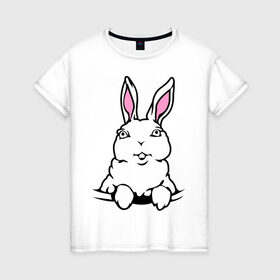 Женская футболка хлопок с принтом Зайчик в кармашке в Тюмени, 100% хлопок | прямой крой, круглый вырез горловины, длина до линии бедер, слегка спущенное плечо | Тематика изображения на принте: белый кролик | животные | зайка | зайчик в кармашке | кролик