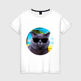 Женская футболка хлопок с принтом Котэ на пляже в Тюмени, 100% хлопок | прямой крой, круглый вырез горловины, длина до линии бедер, слегка спущенное плечо | кот | котэ | лето | мем | очки | пальма | пляж | солнце