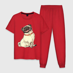 Мужская пижама хлопок с принтом Радостный мопс в Тюмени, 100% хлопок | брюки и футболка прямого кроя, без карманов, на брюках мягкая резинка на поясе и по низу штанин
 | милый | мопс | пес | радостная | собака