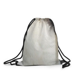 Рюкзак-мешок 3D с принтом Хаскогвин в Тюмени, 100% полиэстер | плотность ткани — 200 г/м2, размер — 35 х 45 см; лямки — толстые шнурки, застежка на шнуровке, без карманов и подкладки | пингвин