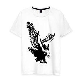 Мужская футболка хлопок с принтом Орлиный размах крыльев в Тюмени, 100% хлопок | прямой крой, круглый вырез горловины, длина до линии бедер, слегка спущенное плечо. | взлет | кондор | коршун | орел | полет | птица | сокол