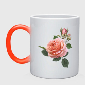 Кружка хамелеон с принтом Розовая роза в Тюмени, керамика | меняет цвет при нагревании, емкость 330 мл | девушкам | розовая роза | цветок