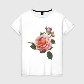 Женская футболка хлопок с принтом Розовая роза в Тюмени, 100% хлопок | прямой крой, круглый вырез горловины, длина до линии бедер, слегка спущенное плечо | Тематика изображения на принте: девушкам | розовая роза | цветок
