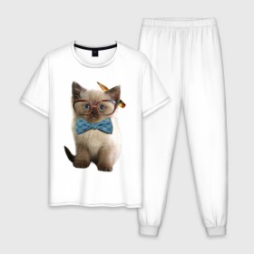 Мужская пижама хлопок с принтом Кот учёный в Тюмени, 100% хлопок | брюки и футболка прямого кроя, без карманов, на брюках мягкая резинка на поясе и по низу штанин
 | Тематика изображения на принте: бабочка
