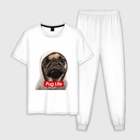 Мужская пижама хлопок с принтом Pug life в Тюмени, 100% хлопок | брюки и футболка прямого кроя, без карманов, на брюках мягкая резинка на поясе и по низу штанин
 | pug life | жизнь | капюшон | мопс | собака