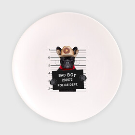 Тарелка с принтом Bad boy в Тюмени, фарфор | диаметр - 210 мм
диаметр для нанесения принта - 120 мм | bad | dog | собака
