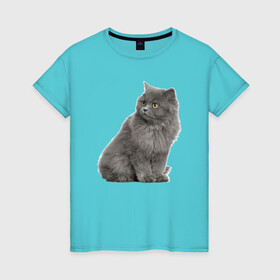 Женская футболка хлопок с принтом Кот в Тюмени, 100% хлопок | прямой крой, круглый вырез горловины, длина до линии бедер, слегка спущенное плечо | kisa | kotik | кот | котенок | кошка