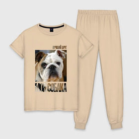 Женская пижама хлопок с принтом Английский бульдог в Тюмени, 100% хлопок | брюки и футболка прямого кроя, без карманов, на брюках мягкая резинка на поясе и по низу штанин | drug | английский бульдог | порода | собака
