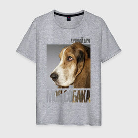 Мужская футболка хлопок с принтом Бассет-хаунд в Тюмени, 100% хлопок | прямой крой, круглый вырез горловины, длина до линии бедер, слегка спущенное плечо. | Тематика изображения на принте: drug | бассет хаунд | порода | собака