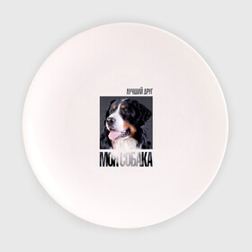 Тарелка с принтом Бернский зенненхунд в Тюмени, фарфор | диаметр - 210 мм
диаметр для нанесения принта - 120 мм | drug | бернский зенненхунд | порода | собака
