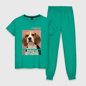 Женская пижама хлопок с принтом Бигль в Тюмени, 100% хлопок | брюки и футболка прямого кроя, без карманов, на брюках мягкая резинка на поясе и по низу штанин | drug | бигль | порода | собака