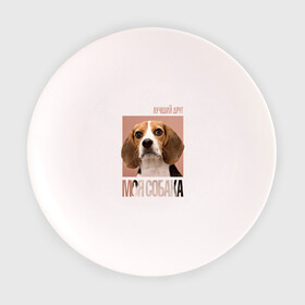 Тарелка 3D с принтом Бигль в Тюмени, фарфор | диаметр - 210 мм
диаметр для нанесения принта - 120 мм | drug | бигль | порода | собака