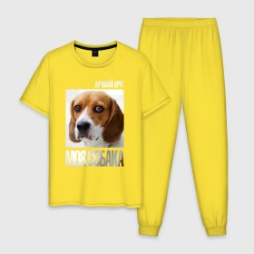 Мужская пижама хлопок с принтом Бигль в Тюмени, 100% хлопок | брюки и футболка прямого кроя, без карманов, на брюках мягкая резинка на поясе и по низу штанин
 | drug | бигль | порода | собака