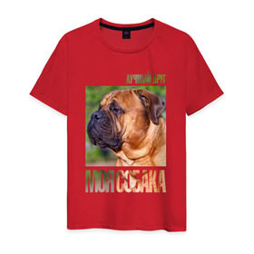 Мужская футболка хлопок с принтом Бульмастиф в Тюмени, 100% хлопок | прямой крой, круглый вырез горловины, длина до линии бедер, слегка спущенное плечо. | drug | бульмастиф | порода | собака