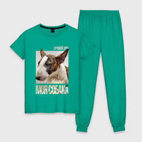 Женская пижама хлопок с принтом Бультерьер в Тюмени, 100% хлопок | брюки и футболка прямого кроя, без карманов, на брюках мягкая резинка на поясе и по низу штанин | drug | порода | собака