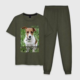 Мужская пижама хлопок с принтом Джек-рассел-терьер в Тюмени, 100% хлопок | брюки и футболка прямого кроя, без карманов, на брюках мягкая резинка на поясе и по низу штанин
 | drug | джек рассел терьер | порода | собака