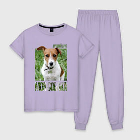 Женская пижама хлопок с принтом Джек-рассел-терьер в Тюмени, 100% хлопок | брюки и футболка прямого кроя, без карманов, на брюках мягкая резинка на поясе и по низу штанин | Тематика изображения на принте: drug | джек рассел терьер | порода | собака