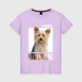 Женская футболка хлопок с принтом Йоркширский терьер в Тюмени, 100% хлопок | прямой крой, круглый вырез горловины, длина до линии бедер, слегка спущенное плечо | drug | порода | собака