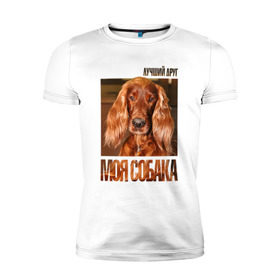 Мужская футболка премиум с принтом Ирландский сеттер в Тюмени, 92% хлопок, 8% лайкра | приталенный силуэт, круглый вырез ворота, длина до линии бедра, короткий рукав | drug | ирландский сеттер | порода | собака