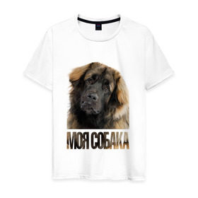 Мужская футболка хлопок с принтом Кавказская овчарка в Тюмени, 100% хлопок | прямой крой, круглый вырез горловины, длина до линии бедер, слегка спущенное плечо. | drug | кавказская овчарка | порода | собака
