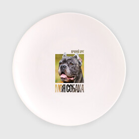 Тарелка с принтом Канне корсо в Тюмени, фарфор | диаметр - 210 мм
диаметр для нанесения принта - 120 мм | drug | канне корсо | порода | собака