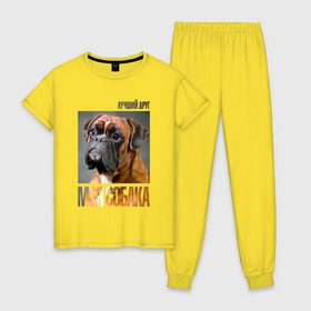 Женская пижама хлопок с принтом Немецкий боксер в Тюмени, 100% хлопок | брюки и футболка прямого кроя, без карманов, на брюках мягкая резинка на поясе и по низу штанин | drug | немецкий боксер | порода | собака