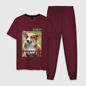 Мужская пижама хлопок с принтом Вельш-корги-пемброк в Тюмени, 100% хлопок | брюки и футболка прямого кроя, без карманов, на брюках мягкая резинка на поясе и по низу штанин
 | drug | вельш корги пемброк | порода | собака