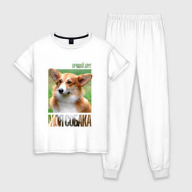 Женская пижама хлопок с принтом Вельш-корги-пемброк в Тюмени, 100% хлопок | брюки и футболка прямого кроя, без карманов, на брюках мягкая резинка на поясе и по низу штанин | drug | вельш корги пемброк | порода | собака