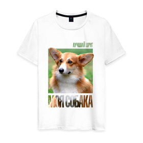 Мужская футболка хлопок с принтом Вельш-корги-пемброк в Тюмени, 100% хлопок | прямой крой, круглый вырез горловины, длина до линии бедер, слегка спущенное плечо. | Тематика изображения на принте: drug | вельш корги пемброк | порода | собака