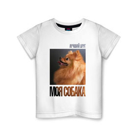 Детская футболка хлопок с принтом Померанский шпиц в Тюмени, 100% хлопок | круглый вырез горловины, полуприлегающий силуэт, длина до линии бедер | drug | померанский шпиц | порода | собака