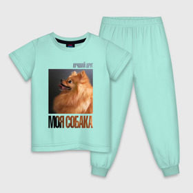 Детская пижама хлопок с принтом Померанский шпиц в Тюмени, 100% хлопок |  брюки и футболка прямого кроя, без карманов, на брюках мягкая резинка на поясе и по низу штанин
 | drug | померанский шпиц | порода | собака
