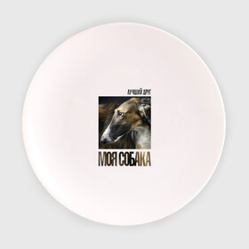 Тарелка с принтом Псовая русская борзая в Тюмени, фарфор | диаметр - 210 мм
диаметр для нанесения принта - 120 мм | порода | псовая русская борзая | собака