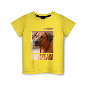 Детская футболка хлопок с принтом Родезийский риджбек в Тюмени, 100% хлопок | круглый вырез горловины, полуприлегающий силуэт, длина до линии бедер | Тематика изображения на принте: drug | порода | родезийский риджбек | собака