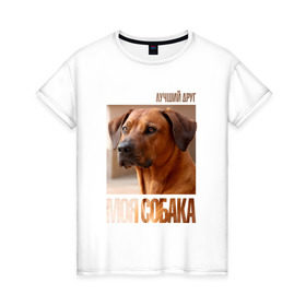 Женская футболка хлопок с принтом Родезийский риджбек в Тюмени, 100% хлопок | прямой крой, круглый вырез горловины, длина до линии бедер, слегка спущенное плечо | drug | порода | родезийский риджбек | собака