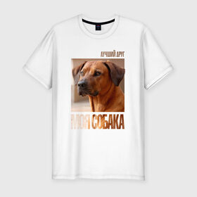 Мужская футболка премиум с принтом Родезийский риджбек в Тюмени, 92% хлопок, 8% лайкра | приталенный силуэт, круглый вырез ворота, длина до линии бедра, короткий рукав | drug | порода | родезийский риджбек | собака