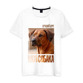Мужская футболка хлопок с принтом Родезийский риджбек в Тюмени, 100% хлопок | прямой крой, круглый вырез горловины, длина до линии бедер, слегка спущенное плечо. | drug | порода | родезийский риджбек | собака