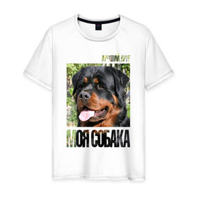 Мужская футболка хлопок с принтом Ротвейлер в Тюмени, 100% хлопок | прямой крой, круглый вырез горловины, длина до линии бедер, слегка спущенное плечо. | Тематика изображения на принте: drug | порода | собака