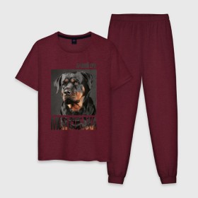 Мужская пижама хлопок с принтом Ротвейлер в Тюмени, 100% хлопок | брюки и футболка прямого кроя, без карманов, на брюках мягкая резинка на поясе и по низу штанин
 | drug | порода | собака