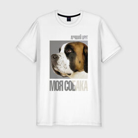 Мужская футболка премиум с принтом Сенбернар в Тюмени, 92% хлопок, 8% лайкра | приталенный силуэт, круглый вырез ворота, длина до линии бедра, короткий рукав | Тематика изображения на принте: drug | порода | сенбернар | собака