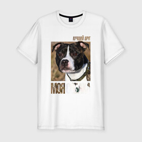 Мужская футболка премиум с принтом Стаффордширcкий бультерьер в Тюмени, 92% хлопок, 8% лайкра | приталенный силуэт, круглый вырез ворота, длина до линии бедра, короткий рукав | порода | собака | стаффордширcкий бультерьер