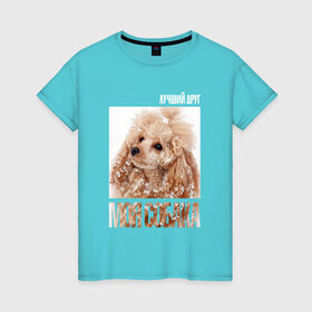 Женская футболка хлопок с принтом Той-пудель в Тюмени, 100% хлопок | прямой крой, круглый вырез горловины, длина до линии бедер, слегка спущенное плечо | drug | порода | пудель | собака