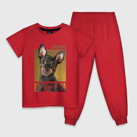 Детская пижама хлопок с принтом Той-терьер в Тюмени, 100% хлопок |  брюки и футболка прямого кроя, без карманов, на брюках мягкая резинка на поясе и по низу штанин
 | Тематика изображения на принте: drug | порода | собака