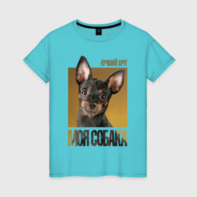 Женская футболка хлопок с принтом Той-терьер в Тюмени, 100% хлопок | прямой крой, круглый вырез горловины, длина до линии бедер, слегка спущенное плечо | Тематика изображения на принте: drug | порода | собака