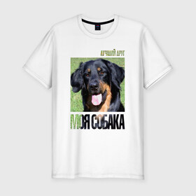 Мужская футболка премиум с принтом Ховаварт в Тюмени, 92% хлопок, 8% лайкра | приталенный силуэт, круглый вырез ворота, длина до линии бедра, короткий рукав | Тематика изображения на принте: drug | порода | собака | ховаварт