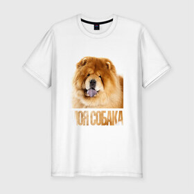Мужская футболка премиум с принтом Чау-чау в Тюмени, 92% хлопок, 8% лайкра | приталенный силуэт, круглый вырез ворота, длина до линии бедра, короткий рукав | drug | порода | собака | чау чау